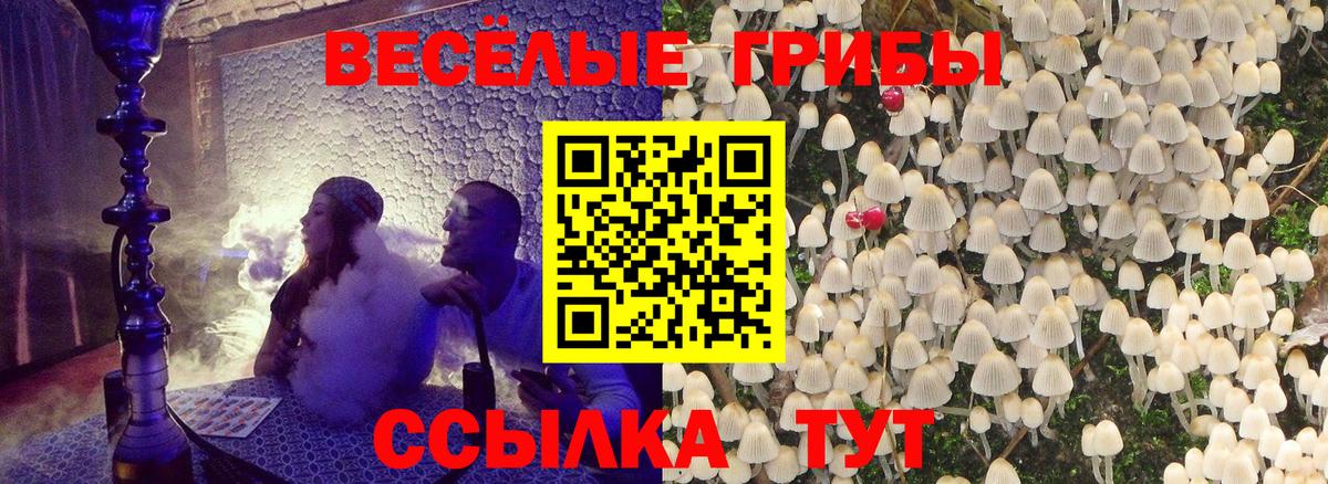 Псилоцибиновые грибы Magic Shrooms Черкесск
